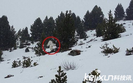 西班牙滑雪胜地  游客无意间拍到雪人