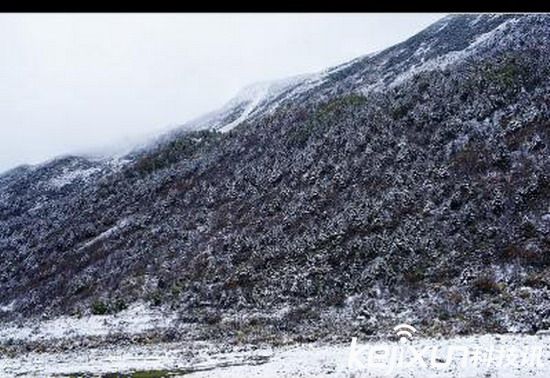 西班牙滑雪胜地  游客无意间拍到雪人